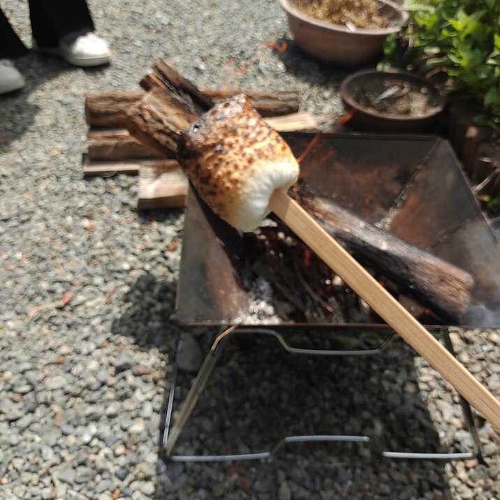 キャンプで焼きマシュマロ